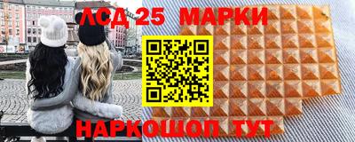 дмт Сланцы