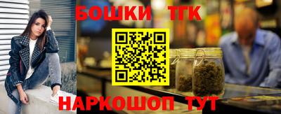 дмт Сланцы